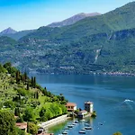 The View 1