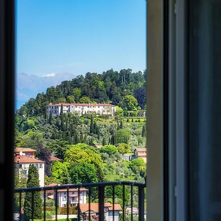 The View 1 *