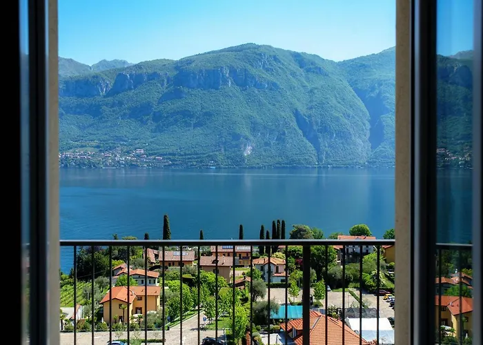 The View 1
